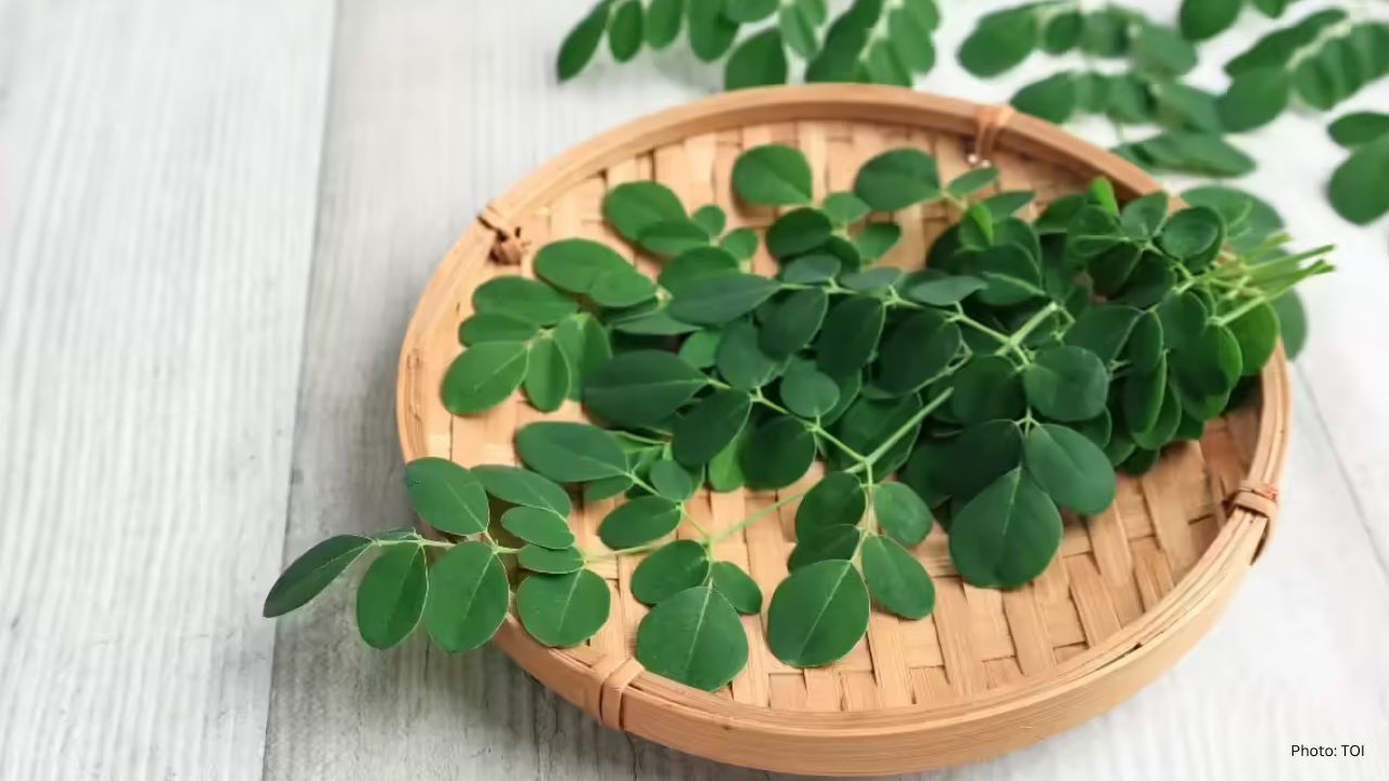 Winter Wellness: Harnessing Moringa for Enhanced Brain Function