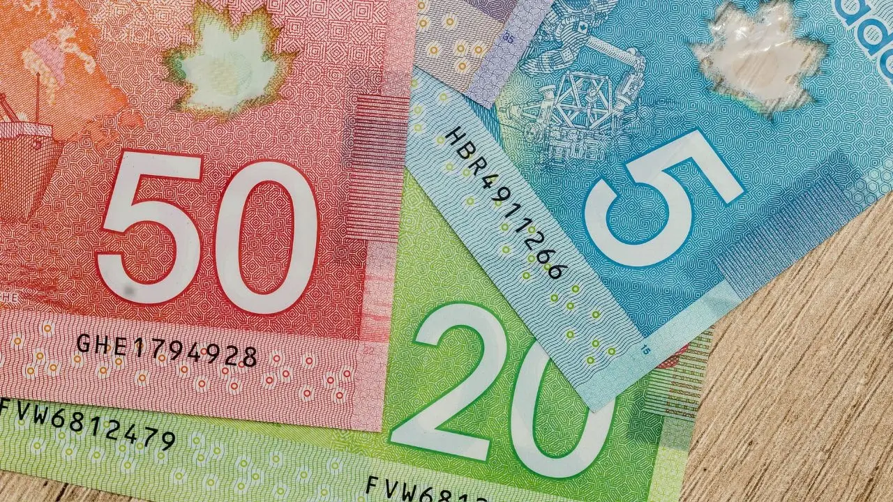 Long Legal Battle Ends for Canadian Man Over $1.2M Cash Seizure