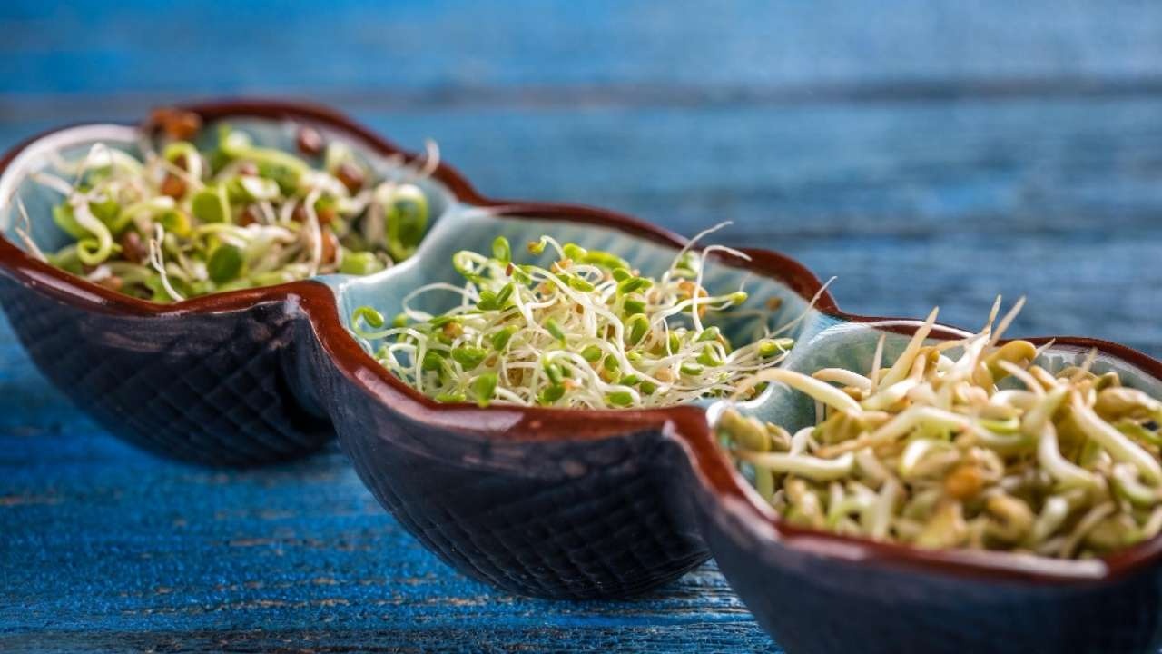 The Power of Sprouts: A Tiny Food for Weight Management