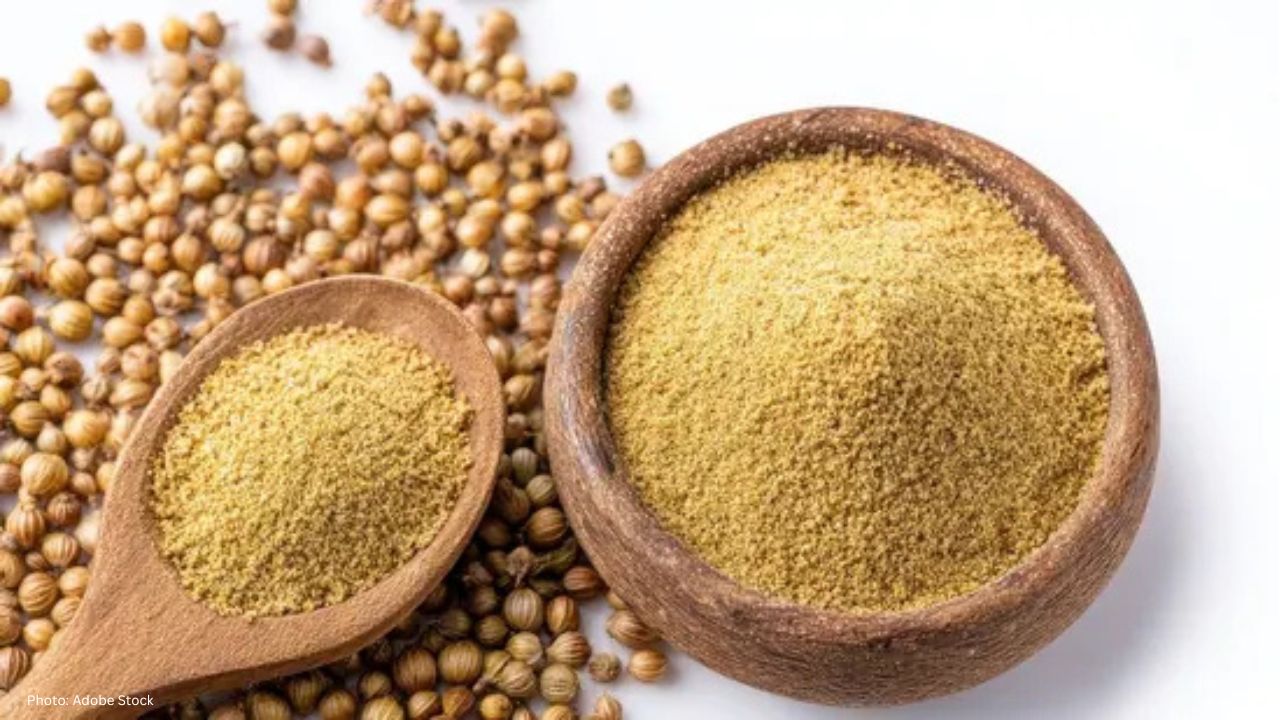 Coriander: Seeds or Powder for Optimal Digestion and Cholesterol