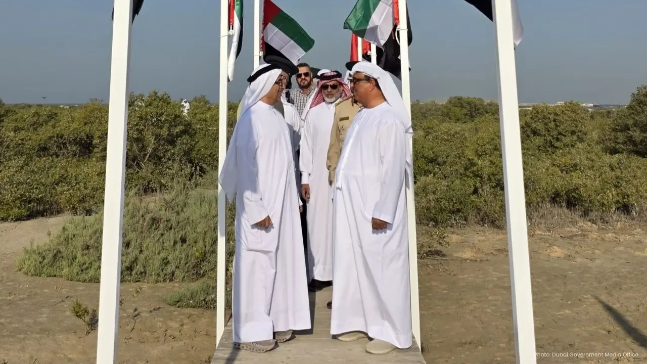 Dubai Unveils Ambitious Mangrove Planting Project