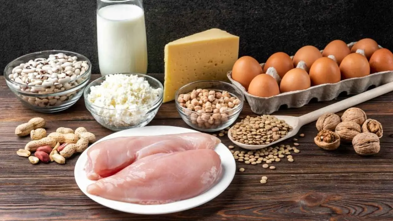 Elevate Your Nutrition: 8 Essential Protein Sources for Any Diet