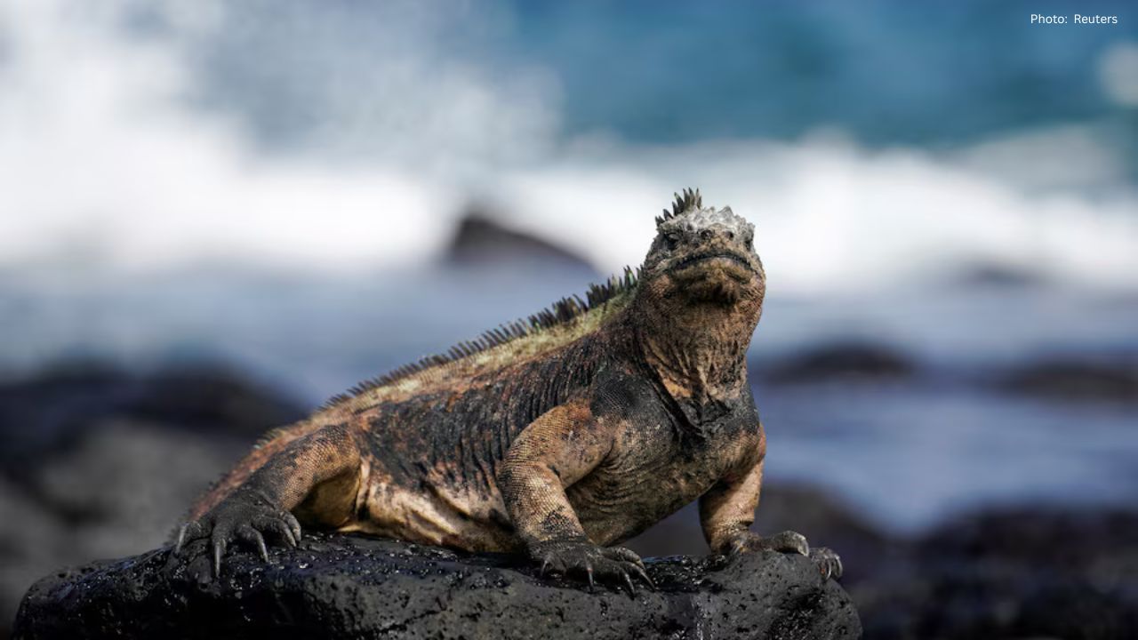 Bezos Earth Fund Invests $24.5 Million to Safeguard Marine Ecosystems