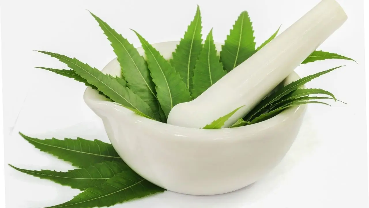 Unlocking the Secrets of Neem for Skin and Hair: Traditional Wisdom