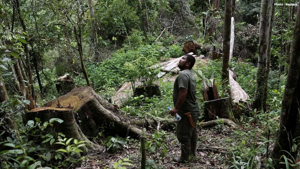 Tapanuli Orangutans Face Increasing Peril from Floods in Sumatra