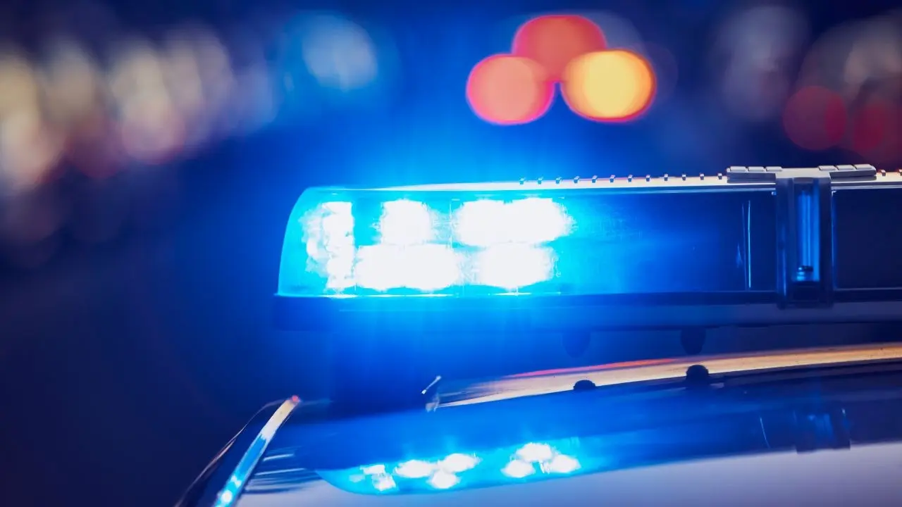 Three Indian-Origin Drivers Arrested After Truckers' Shootout in Canada