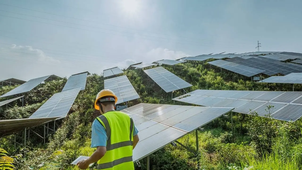 India Surges Ahead in Renewable Energy with 31.25 GW Capacity Growth