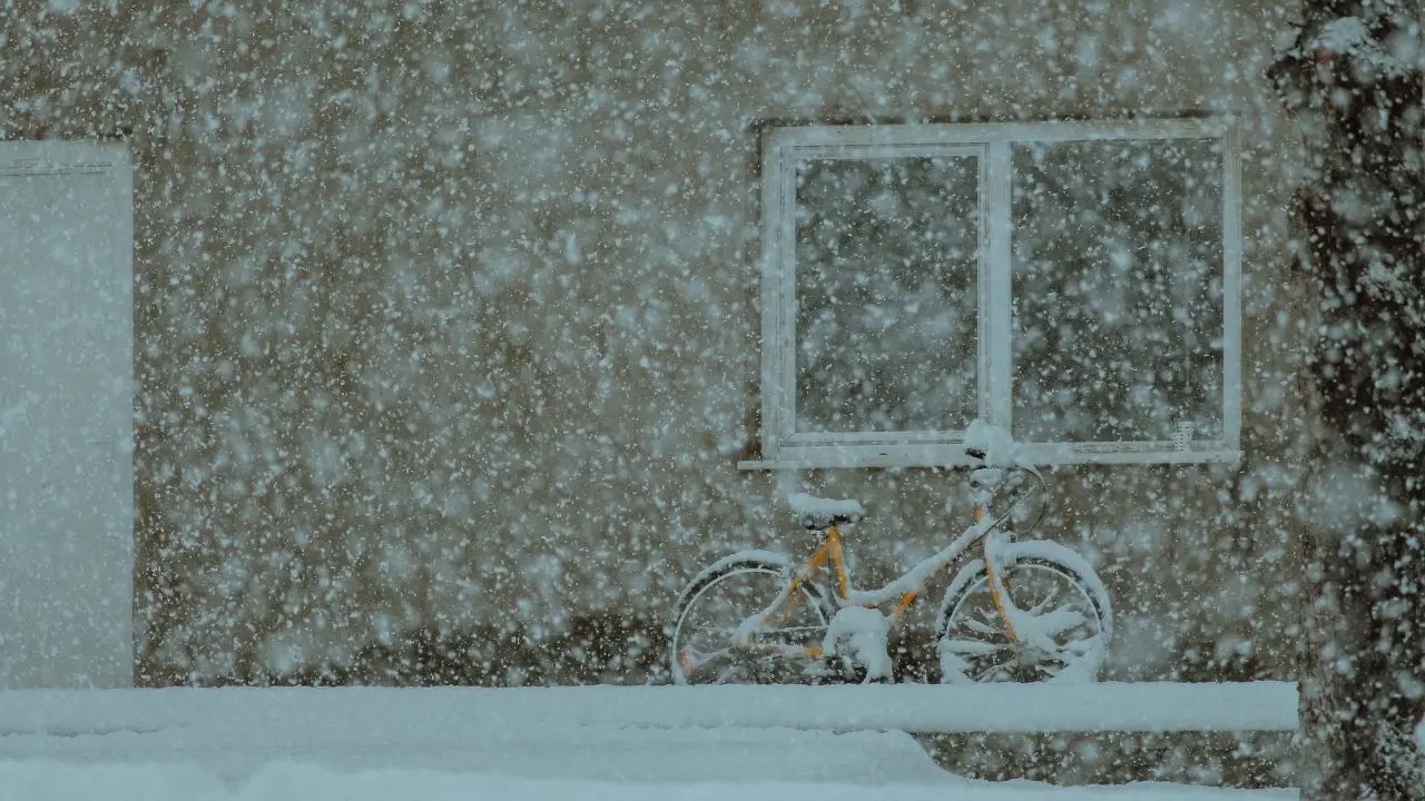 Severe Blizzard Approaches Southern Saskatchewan With Heavy Snow