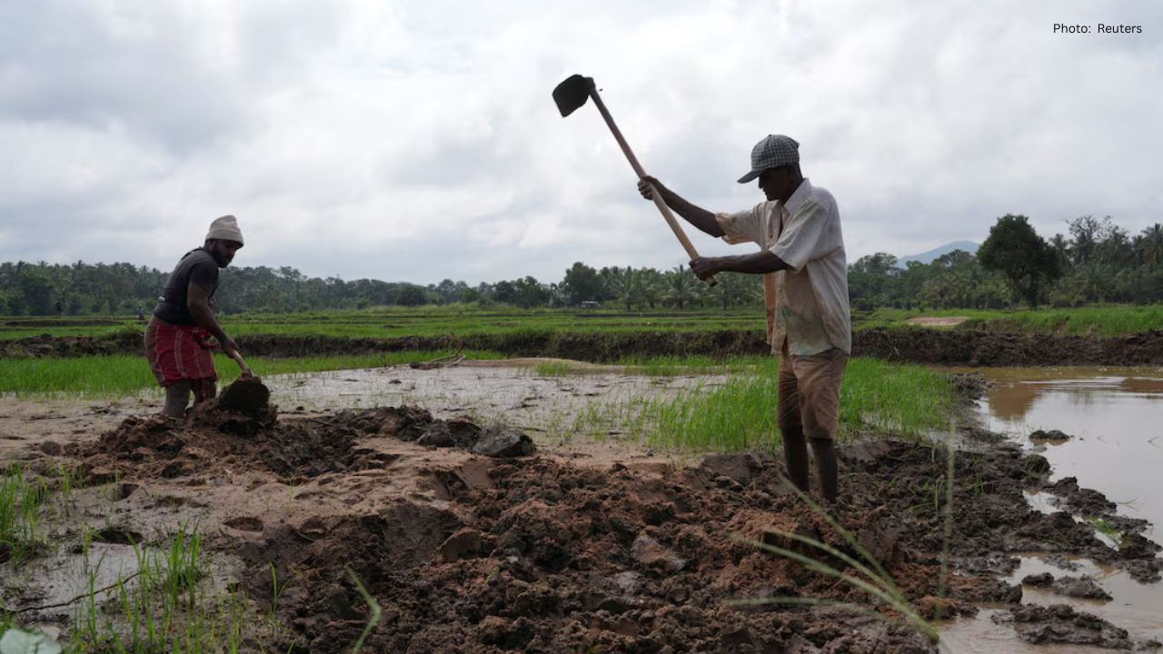 After Cyclone Ditwah, Sri Lankan Farmers Fight for Recovery