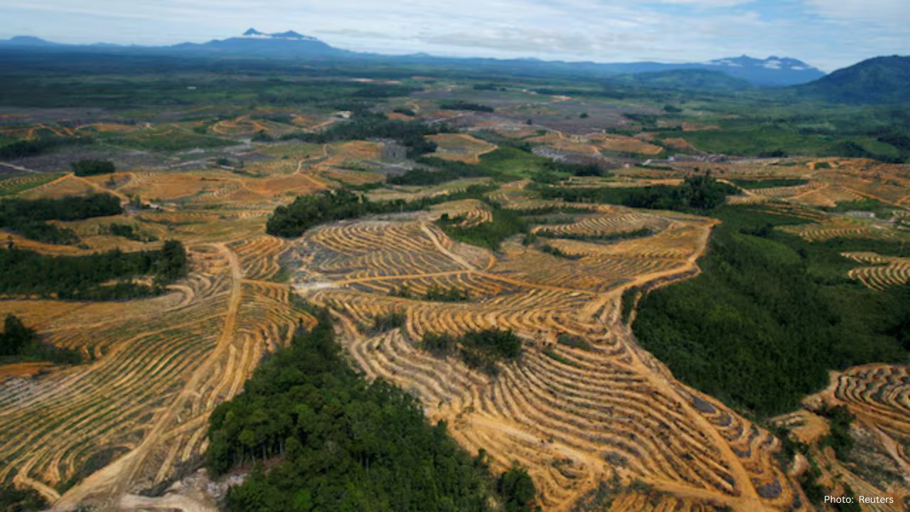 Indonesia Imposes $8.5 Billion in Fines on Illicit Palm Oil and Mining Operations