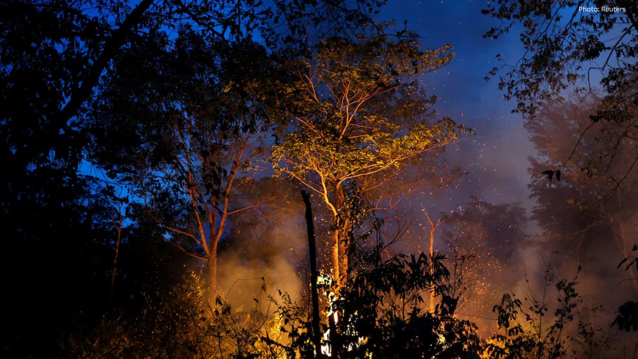 Major Soy Companies Consider Leaving Amazon Moratorium Due to Tax Reforms