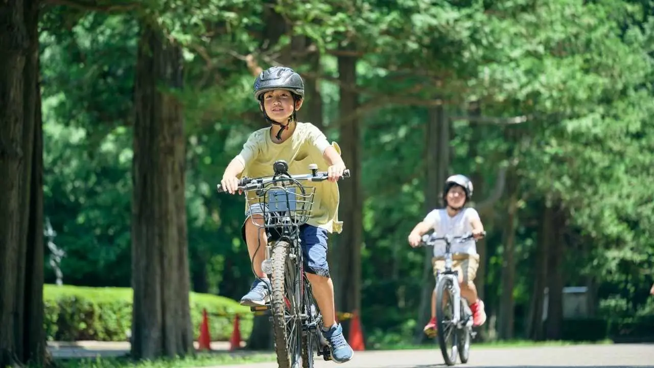 Essential Strategies for Healthy Weight Gain in Children