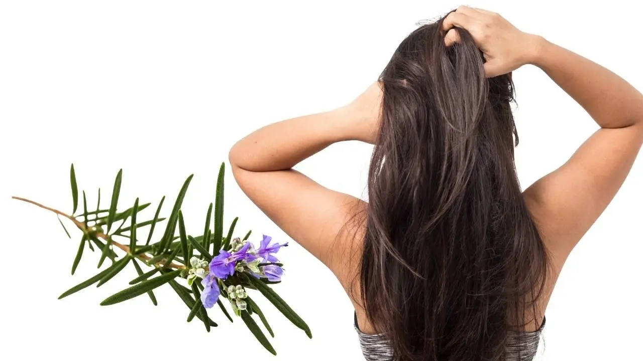 Hair Growth Made Easy: Scalp Scrubs and Rosemary Oil Insights