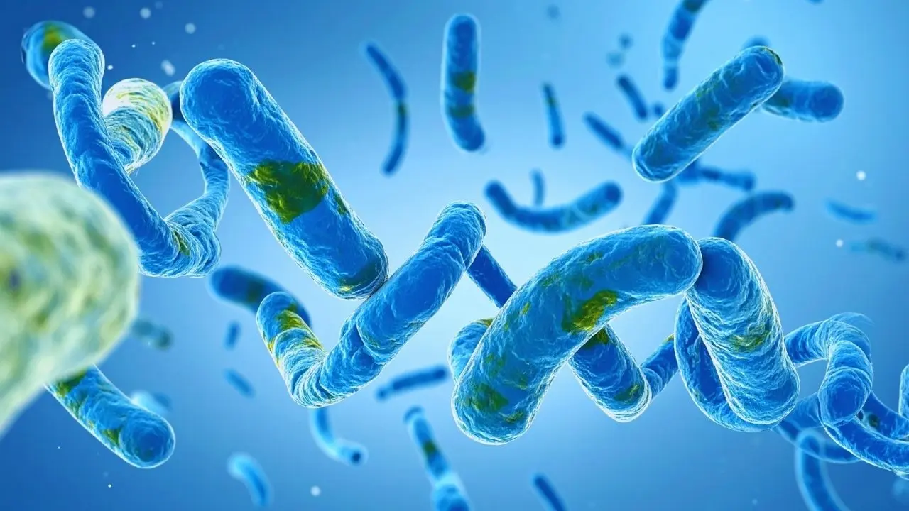 Rising Threats: Global Health Agencies Track Emerging Infectious Diseases