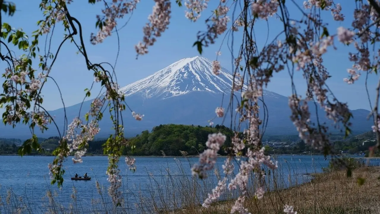 Japan's Rise as the Top Travel Search Destination