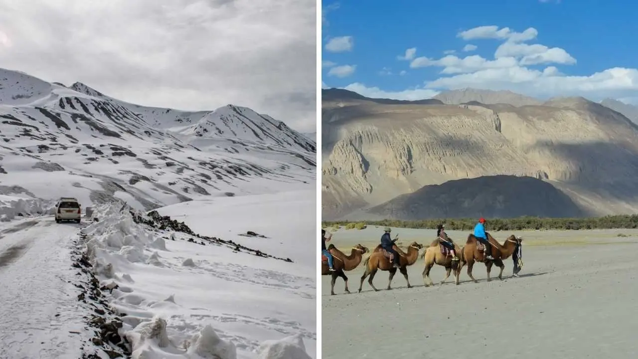 Nubra Valley: Where Snow-Capped Peaks Meet Desert Dunes