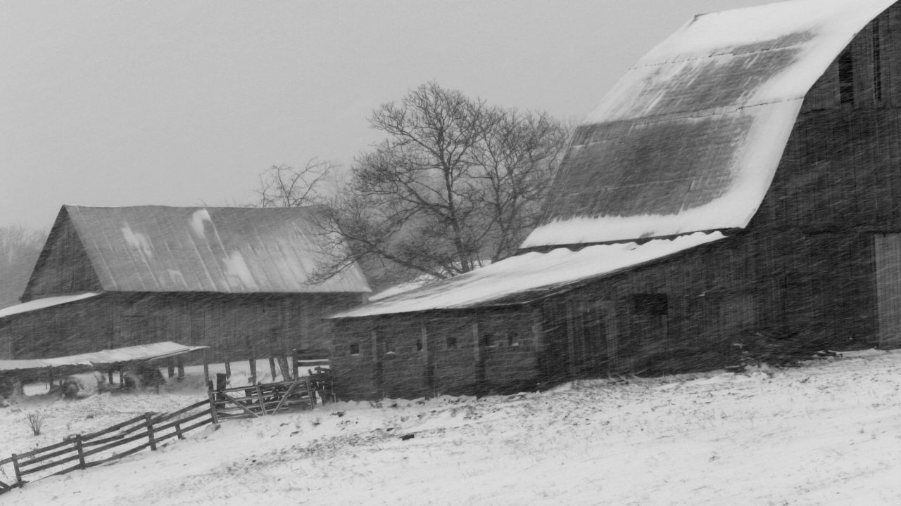 Central Ontario Braces for Snow Squalls as Weather Advisories Issued