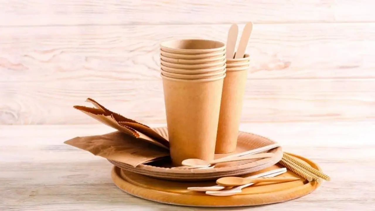 Innovative Alternatives to Plastics: Shaping a Sustainable Future