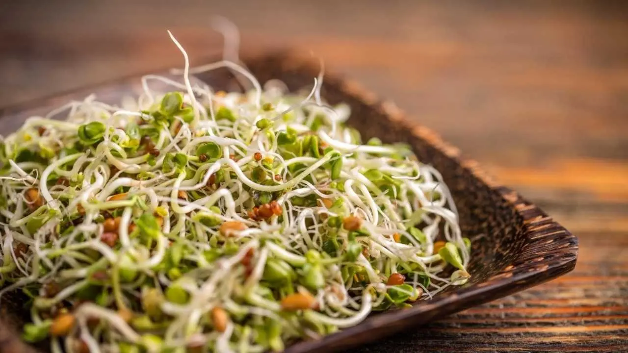 Unlock the Secrets of Sprouts: 5 Surprising Health Benefits