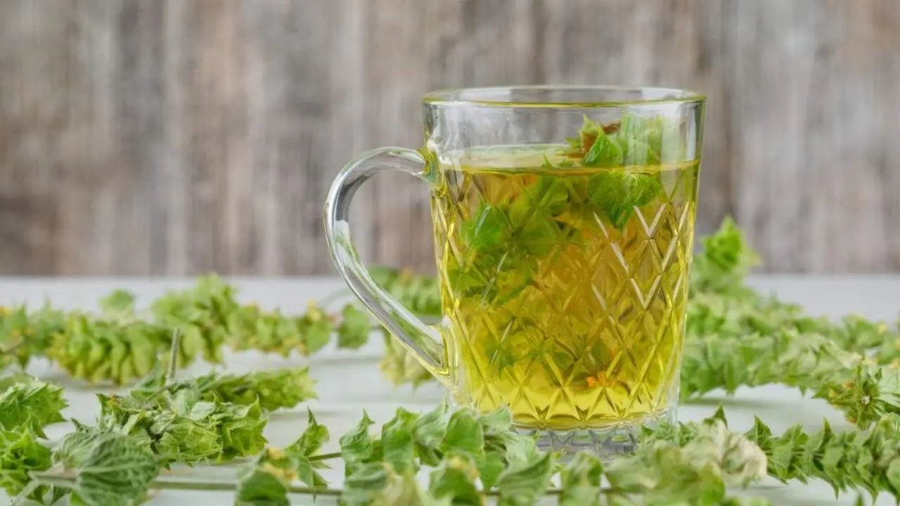 7 Compelling Reasons to Start Your Day with Holy Basil Water