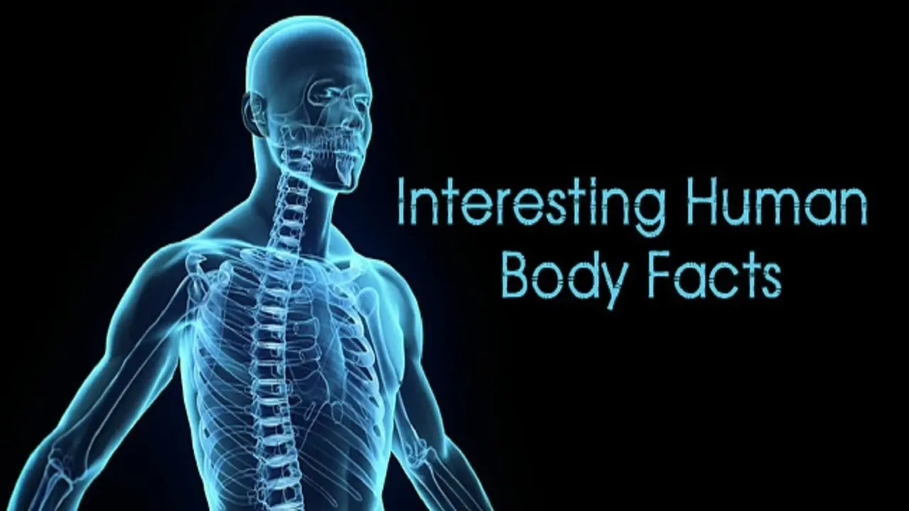 Discover Ten Mind-Blowing Facts About the Human Body