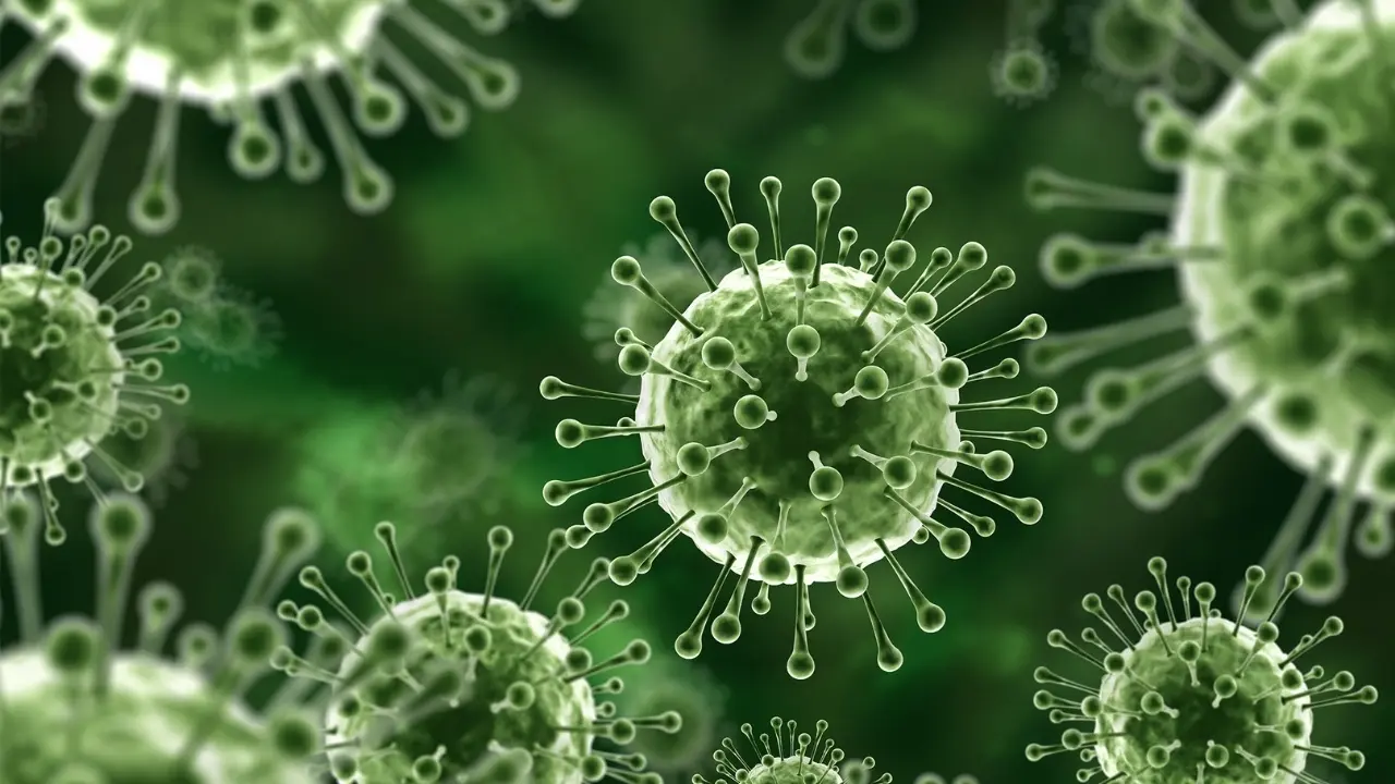 Nipah Virus Threatens India: Key Insights on Symptoms, Transmission, and Response