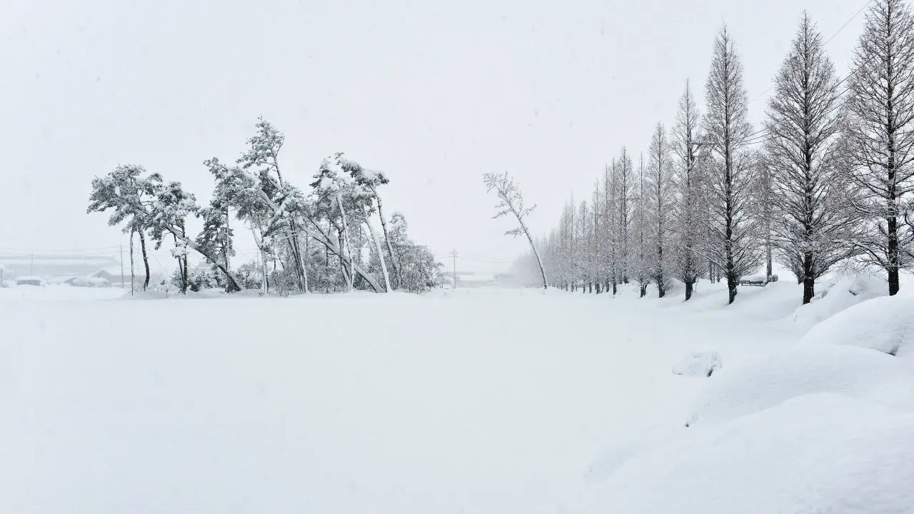 Montreal Families Urge Better Emergency Planning After Two Winter Deaths