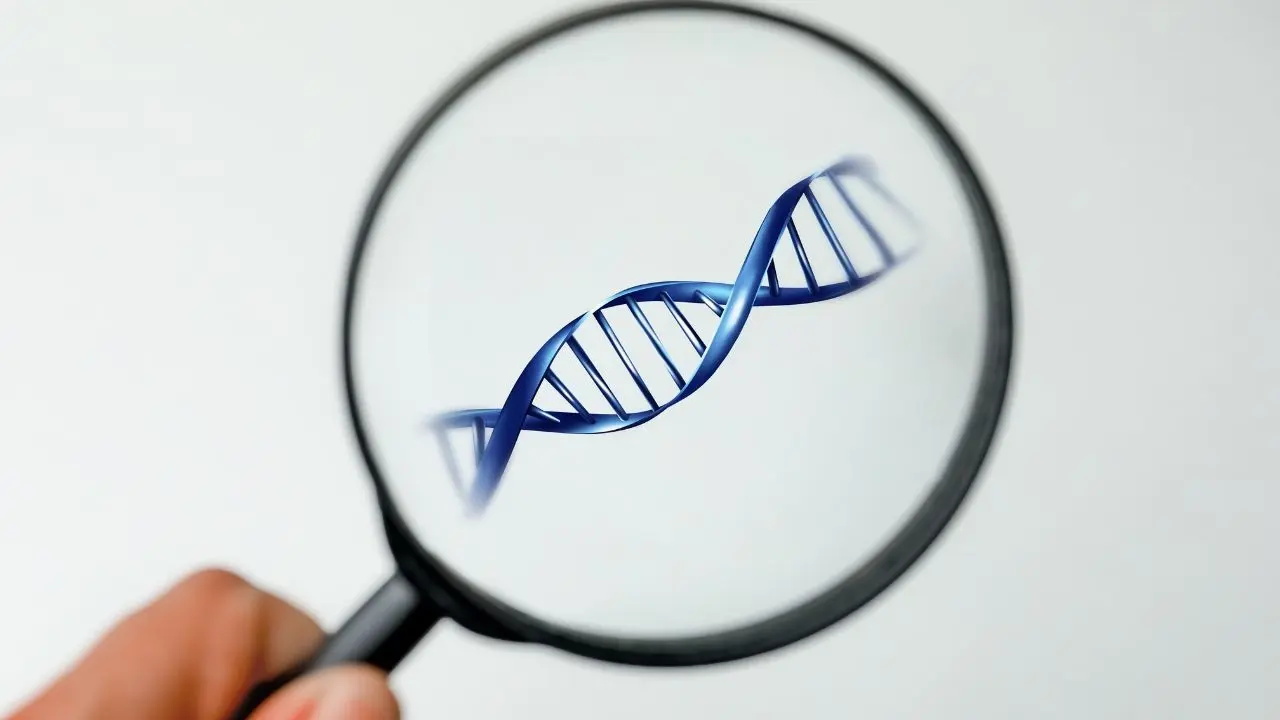 Legal Debate Grows Over Police Use of Genetic Genealogy to Solve Crimes