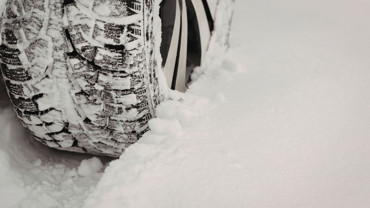 Blizzard Strands Motorists as 150 Vehicles Abandoned on Ontario Highway