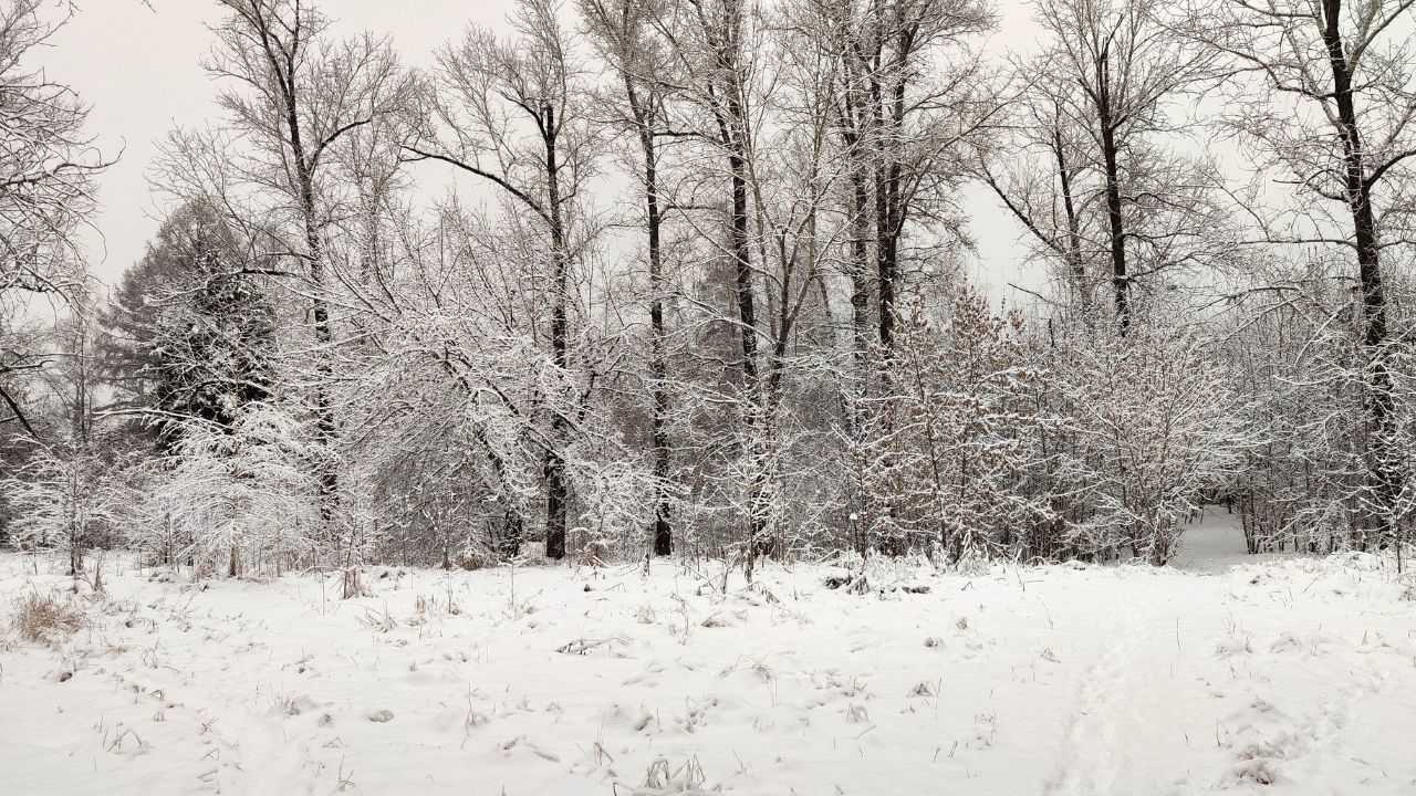 Major Ice Storm Warning in Southern Quebec Forces School Closures and Travel Alerts