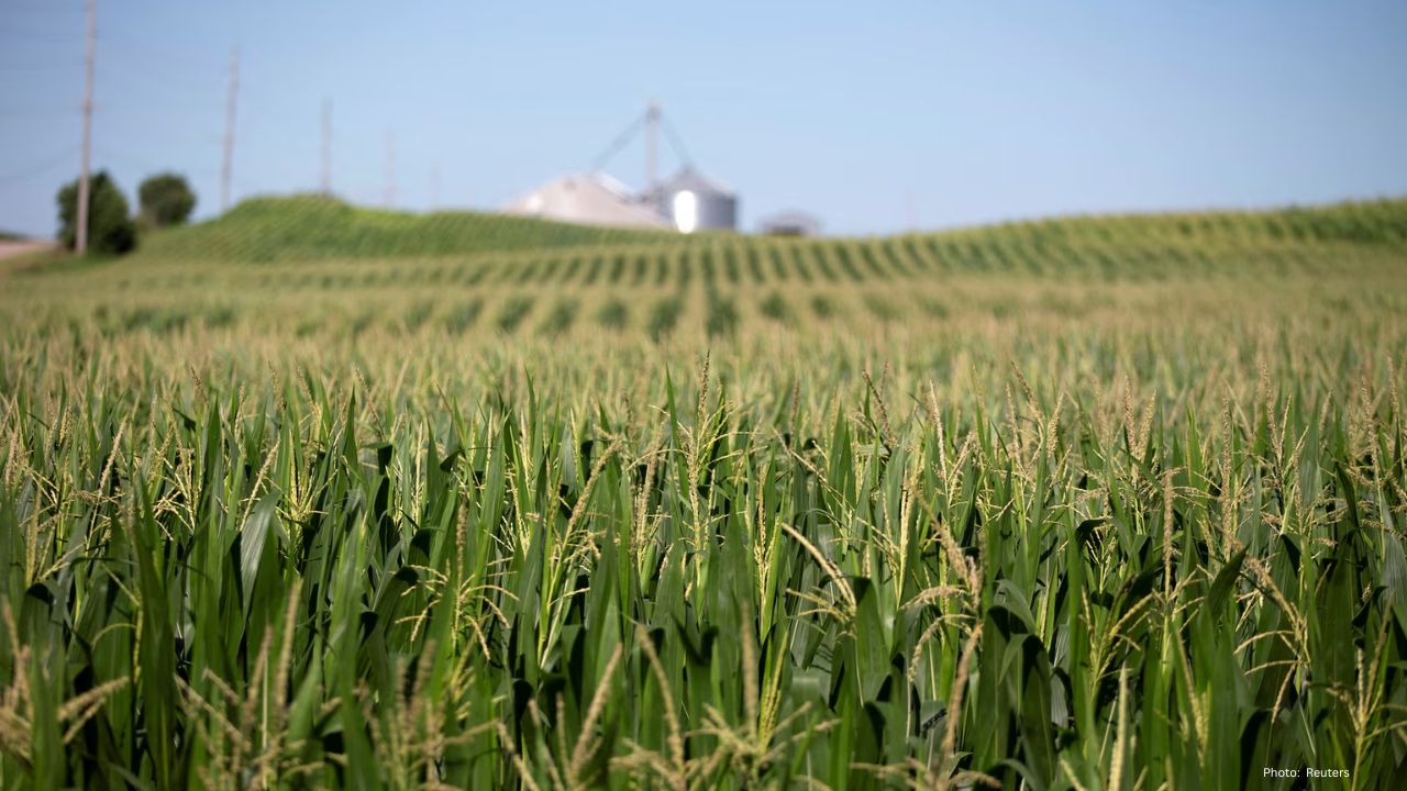 B.C. farmland Agency to cut staff amid budget pressure