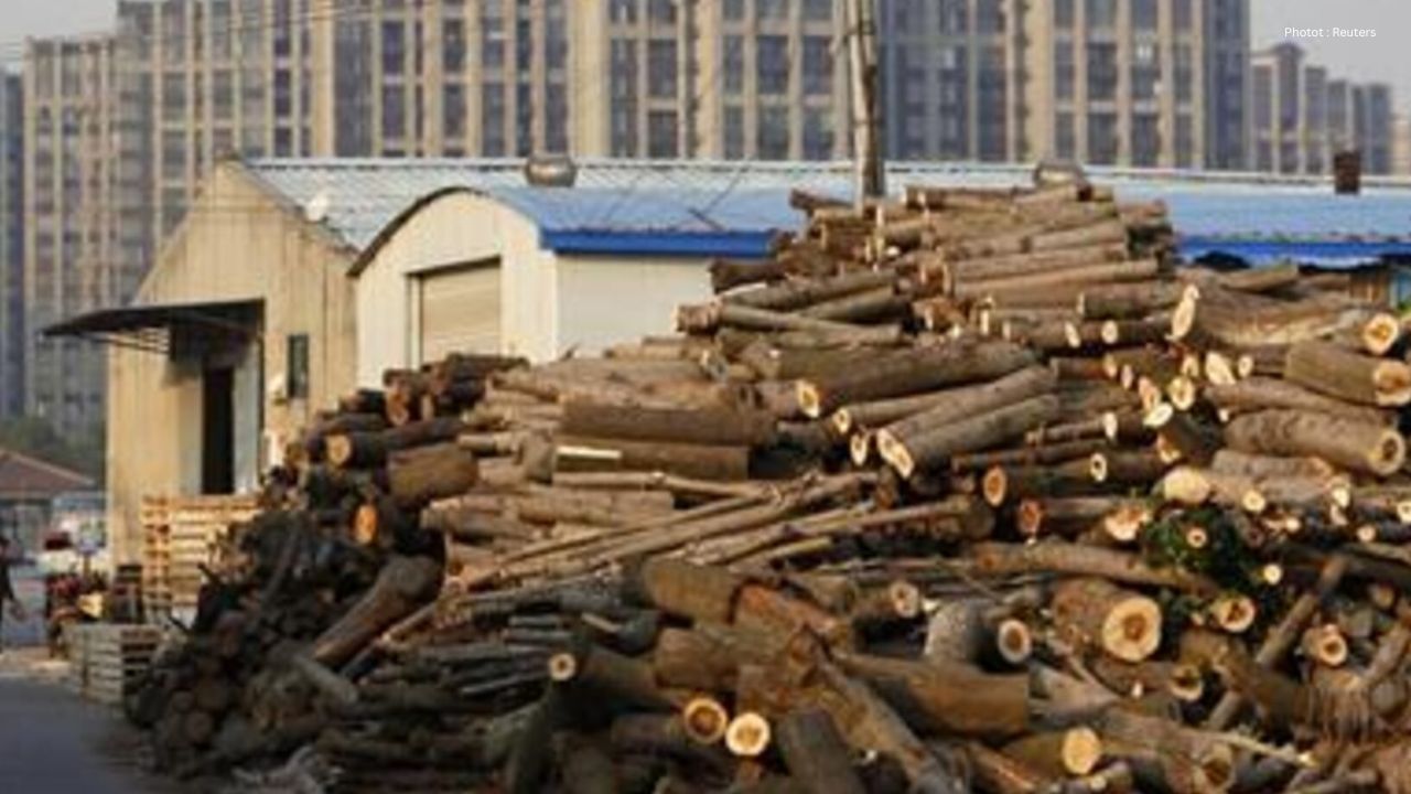 B.C. Gov't Proposes Changes To Boost Wood Fibre Supply