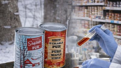 Fake Maple Syrup Scandal Shocks Quebec Market