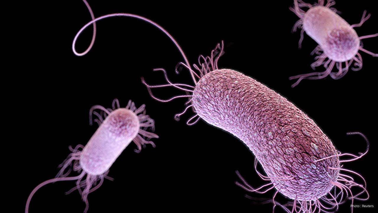 Dangerous Bacterial Infection Hits Decade-High In Canada