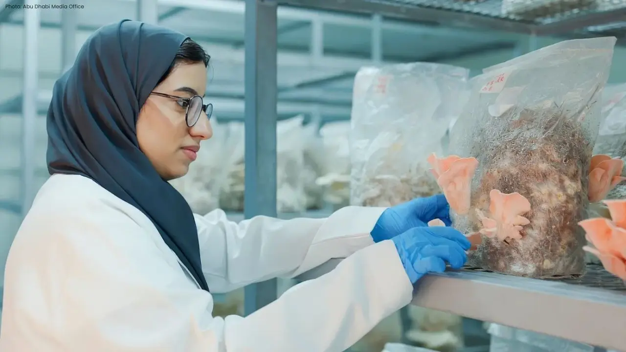Innovative Smart Mushroom House Unveiled by UAEU