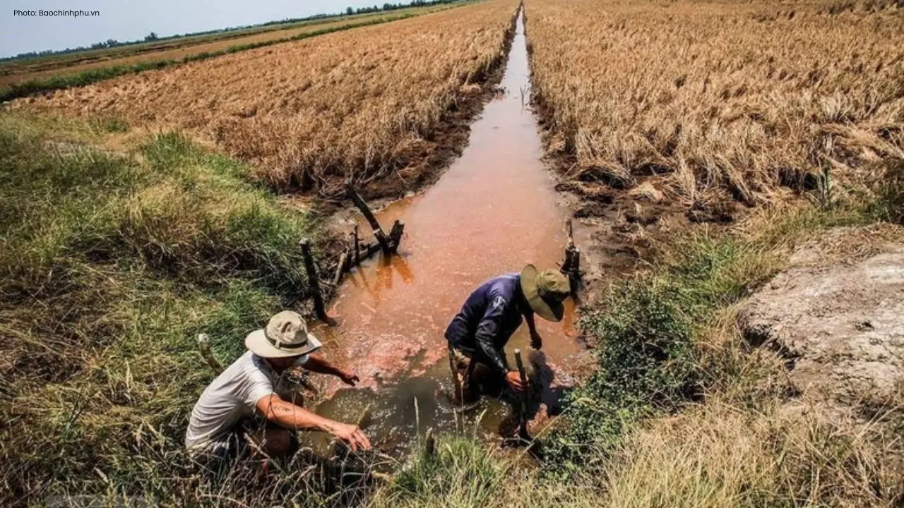 Escalating Saltwater Intrusion Threatens Mekong Delta