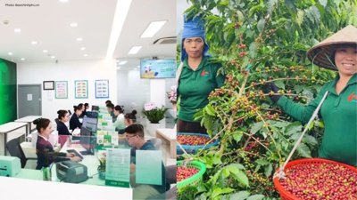 Vietnam's Resolution 79 Amplifies Private Sector's Role
