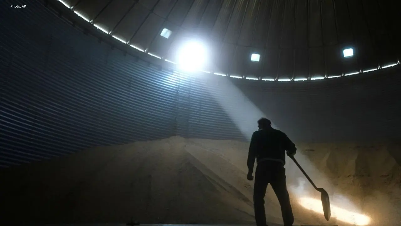 Challenges Mount for U.S. Soybean Farmers Amid Cost Crisis