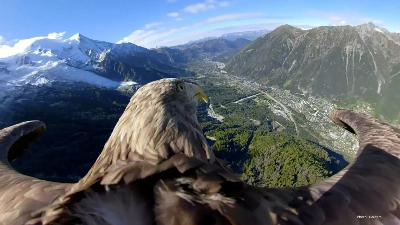 Canada Unveils New Strategy To Protect Nature Nationwide