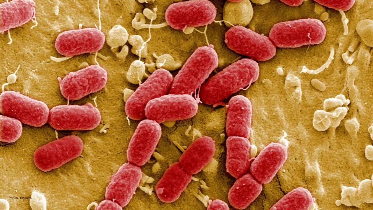 More Salmonella Cases linked To Hamilton Restaurant