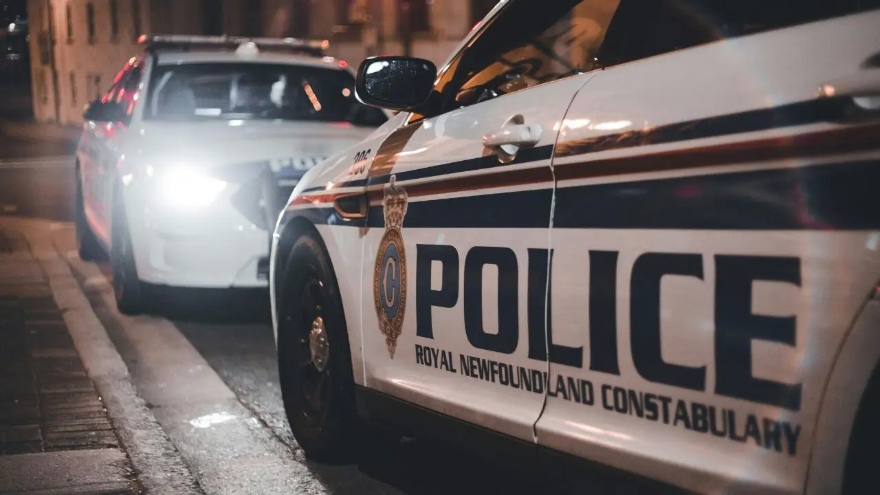 Pedestrian Killed In Crash Near Belleville Highway