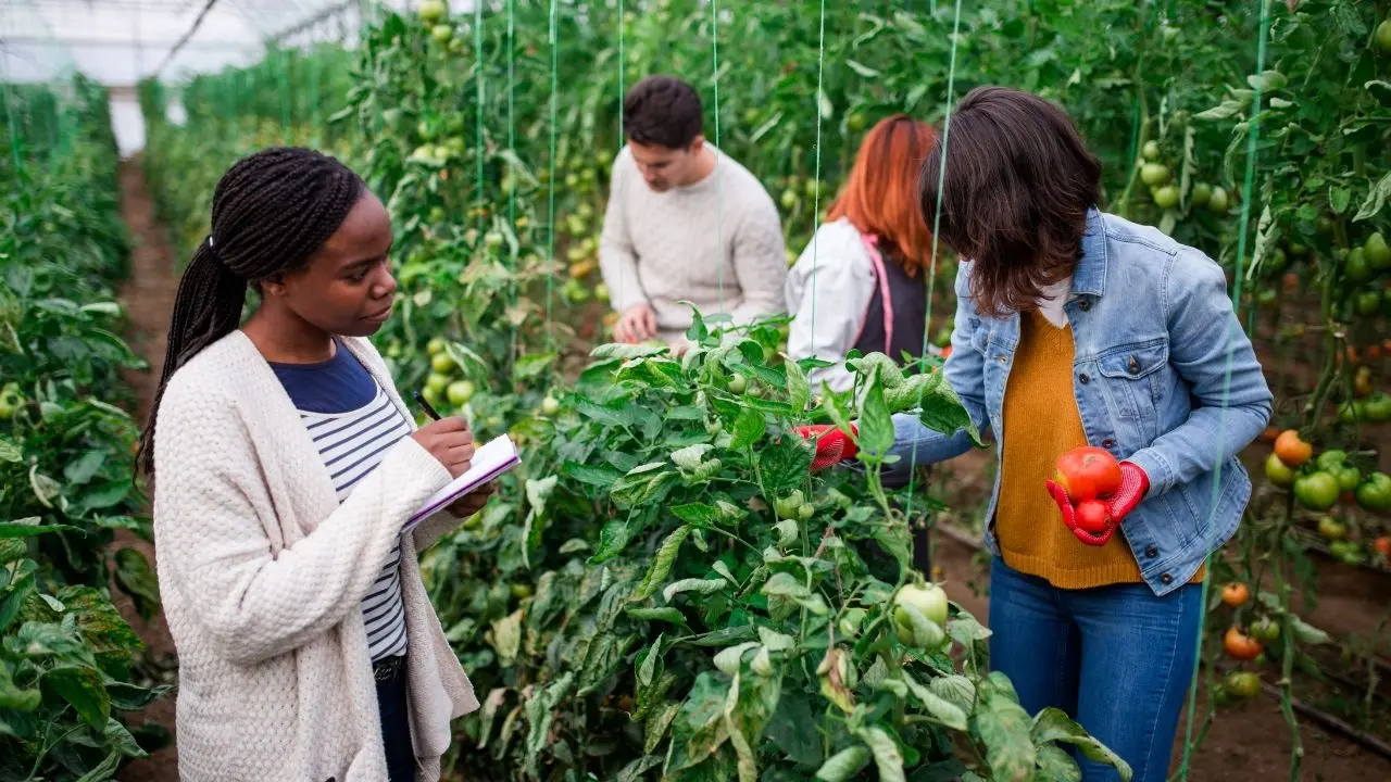 ASEAN Highlights Food Security Issues at Recent Meeting