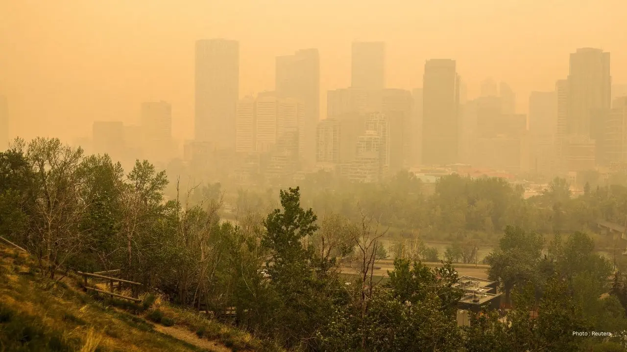 Wind warning issued for Calgary as strong gusts topple trees  down power lines