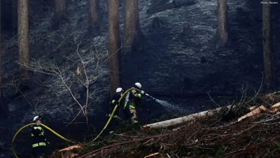 Devastating Wildfires in Iwate, Japan Displace Thousands