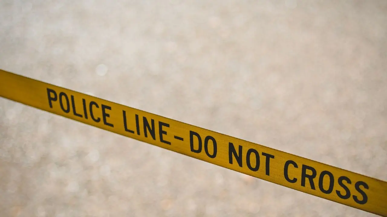 Man Dies After Stabbing In Mount Royal Park Montreal