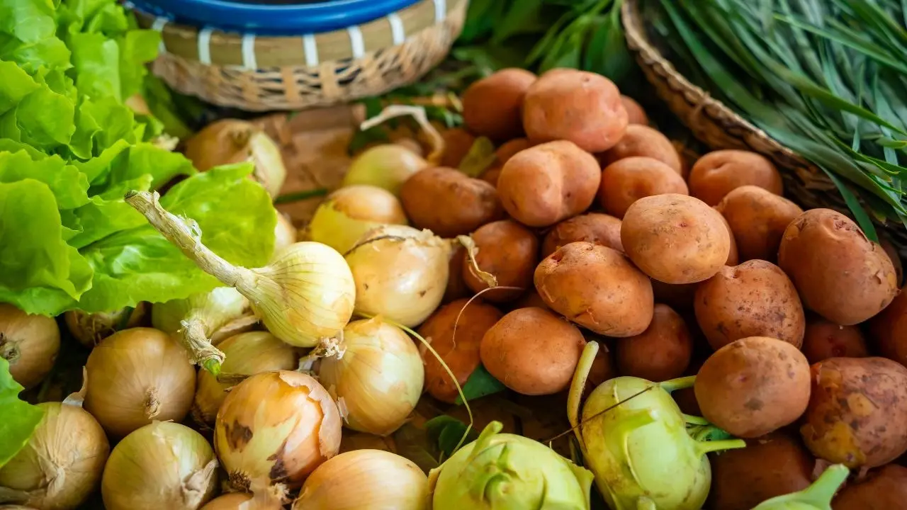 Bountiful Crop Prospects for Lebap Farmers