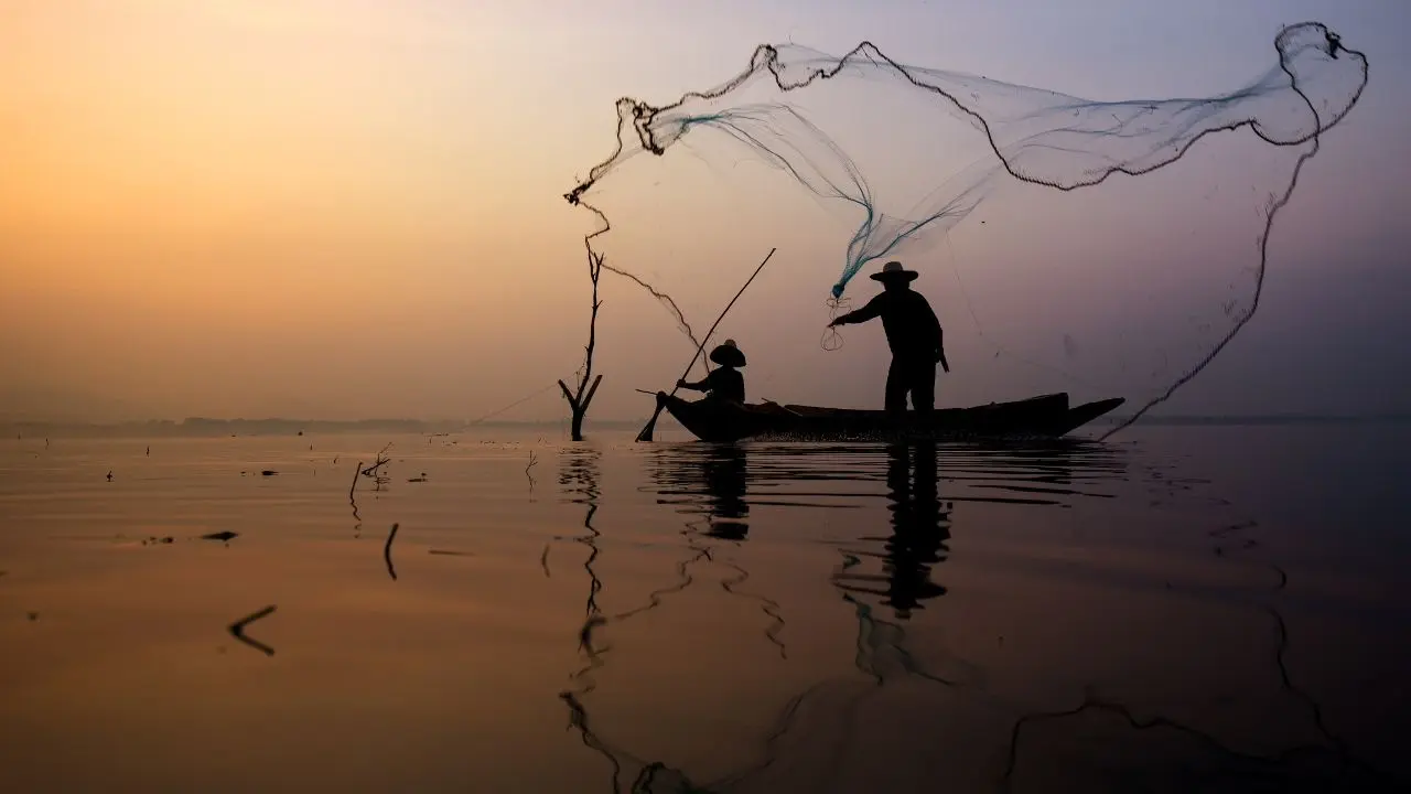 Indonesia Enhances Urban Environment with Pest Control and River Cleanup