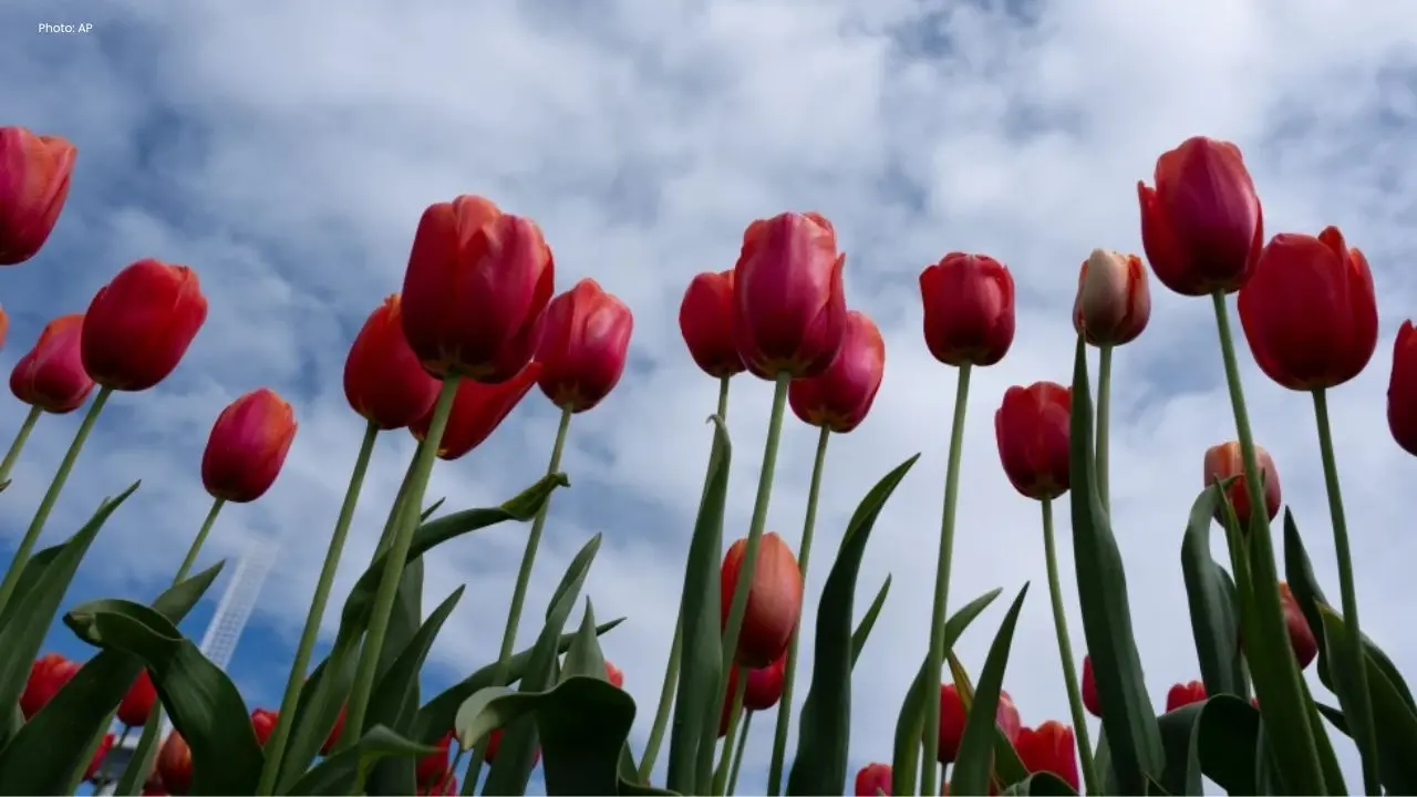 Climate Change Poses Grave Risk to Global Flora