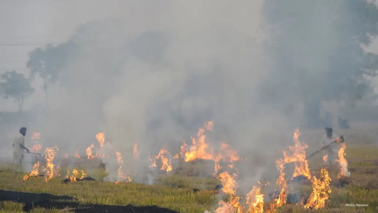 Several Grassfires Burn In Edmonton As City Steps Up Prevention Measures