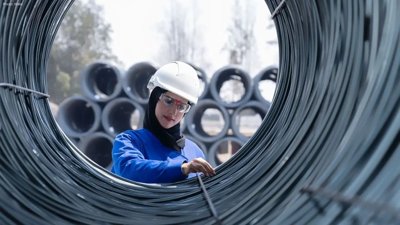 EMSTEEL Achieves Remarkable Q1 Profit Surge with 246% Increase